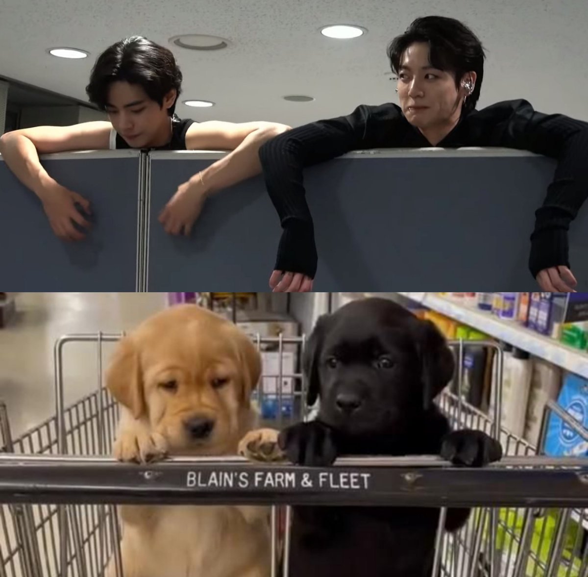 sugatradamus's tweet image. it’s them!