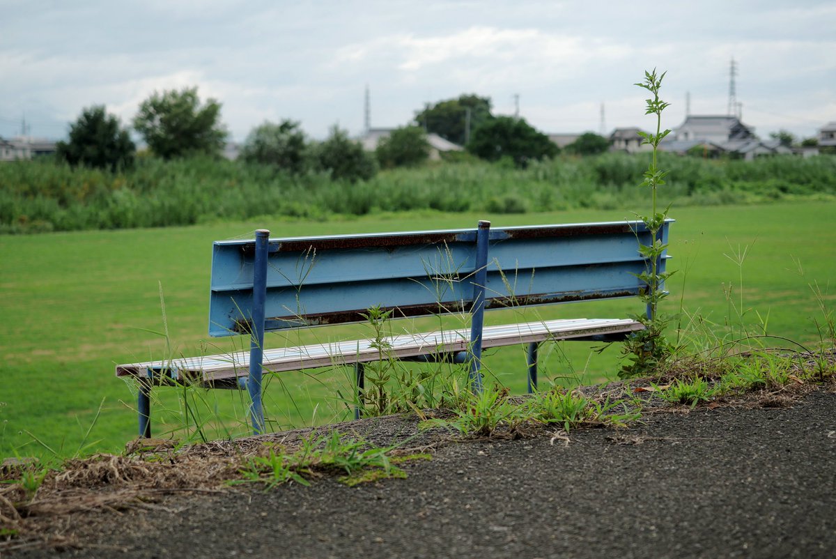 YASLOG1's tweet photo. コントラスト低めで撮影してTwitterで自動修正すると、一気にエモくなる。やりすぎ感あるけど、これはこれで。
#lumixg99 #マイクロフォーサーズ https://t.co/xdWTKKrH5S