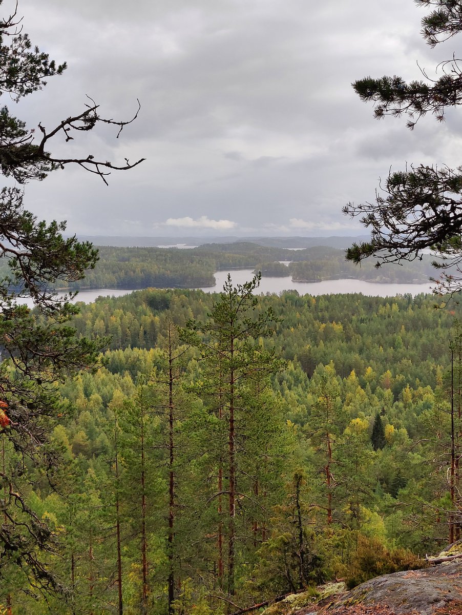 oparipa's tweet photo. Jokavuotinen Neitvuoren reissu. #Anttola #hiking #184m https://t.co/ZTP9SZ1Uj0