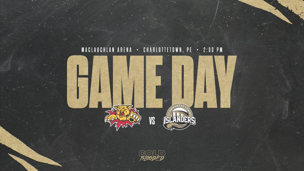 IslandersHKY's tweet photo. It's Game Day! This afternoon at 2pm, we finish up our preseason against the Wildcats at MacLauchlan Arena.

⚠️ Please note that today's game was rescheduled to a 2pm puck drop.⚠️

Tickets can be pre-purchased at the link below, or at the door for $15.

https://t.co/B6lTje7NFD https://t.co/iaijTWeq3R