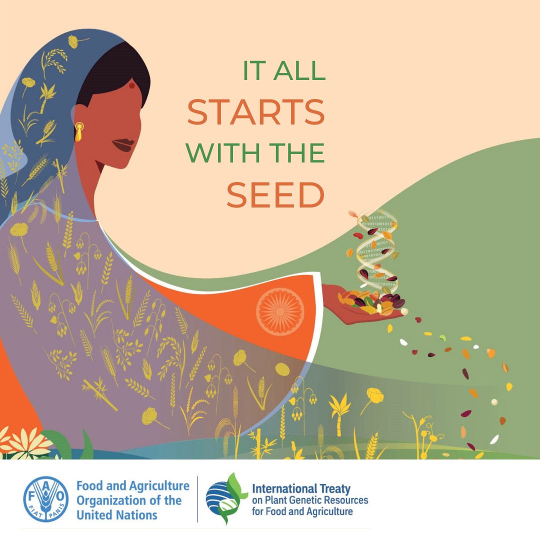 planttreaty's tweet photo. Excitement is rising as delegates arrive from around the 🌍in #India for the @FAO Intl @PlantTreaty #GB9 meeting happening in #NewDelhi from 19-24 Sept.

@CGIAR @UNBiodiversity @ICRISAT @INbpgr @IISD_AG @ICARDA
#ItAllStartsWithTheSeed🌱#Farmers #CropDiversity #FoodSecurity https://t.co/DmS2wlAjTn