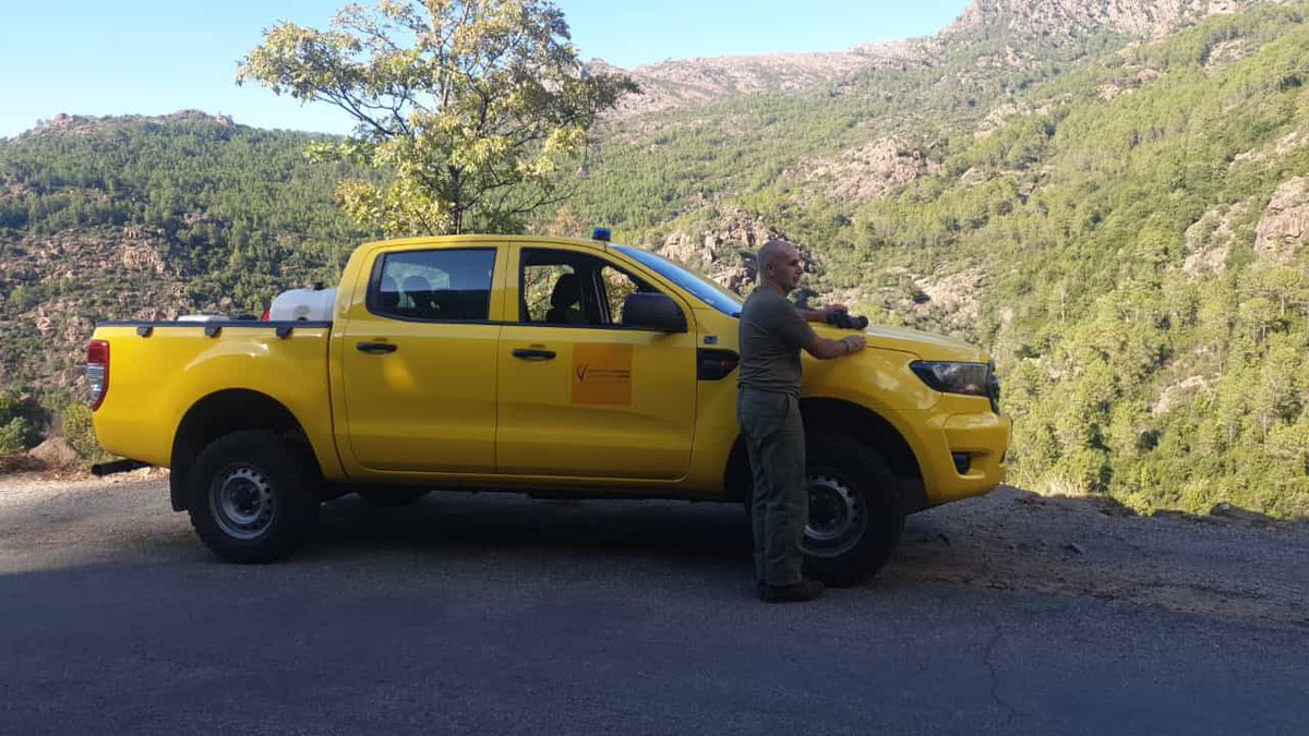 SIS 2B - Cismonte tweet media