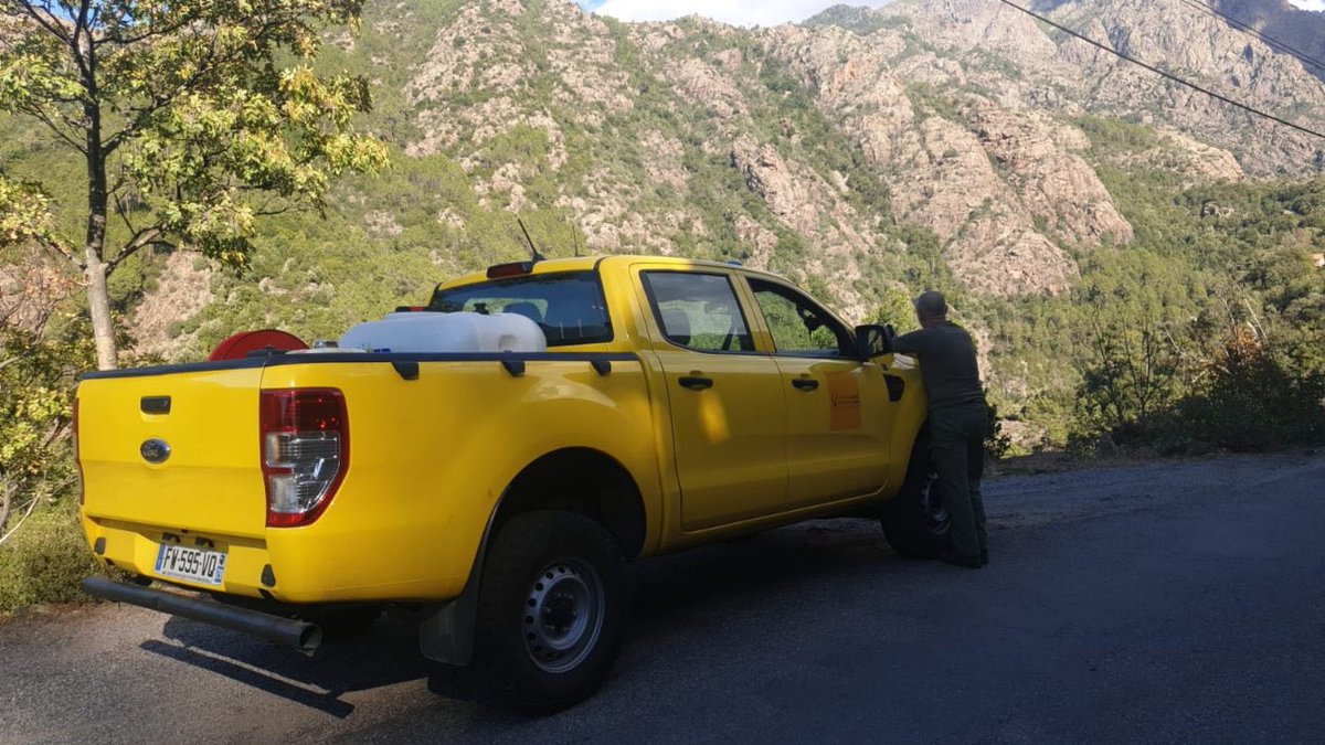 SIS 2B - Cismonte tweet media