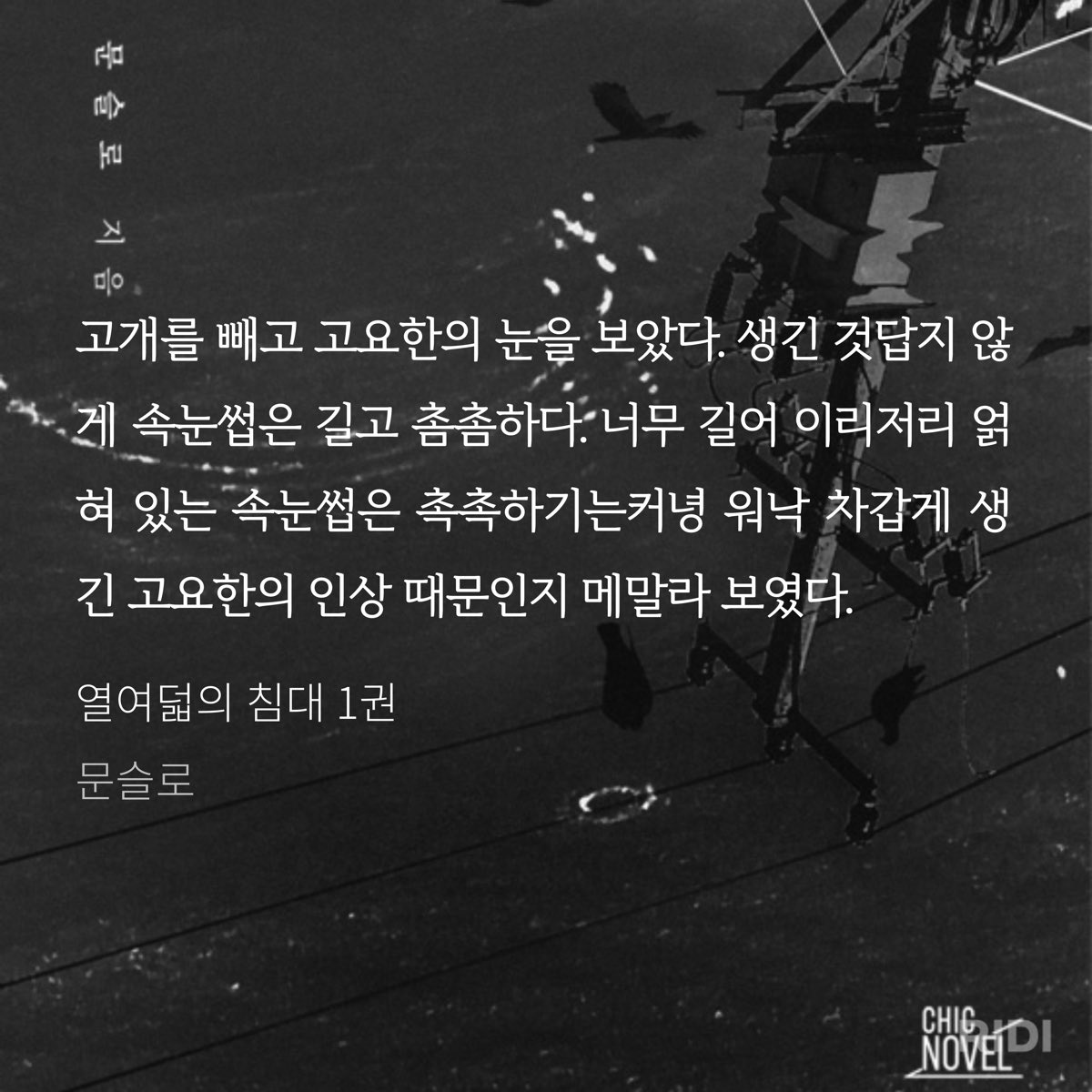 tanrro's tweet photo. 고요한 잘생김 https://t.co/cXYRd9FcXy