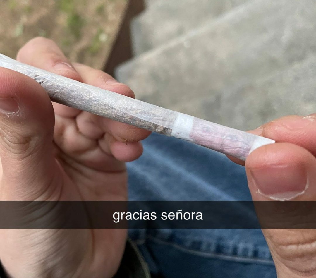 . (@confcanabica) on Twitter photo 