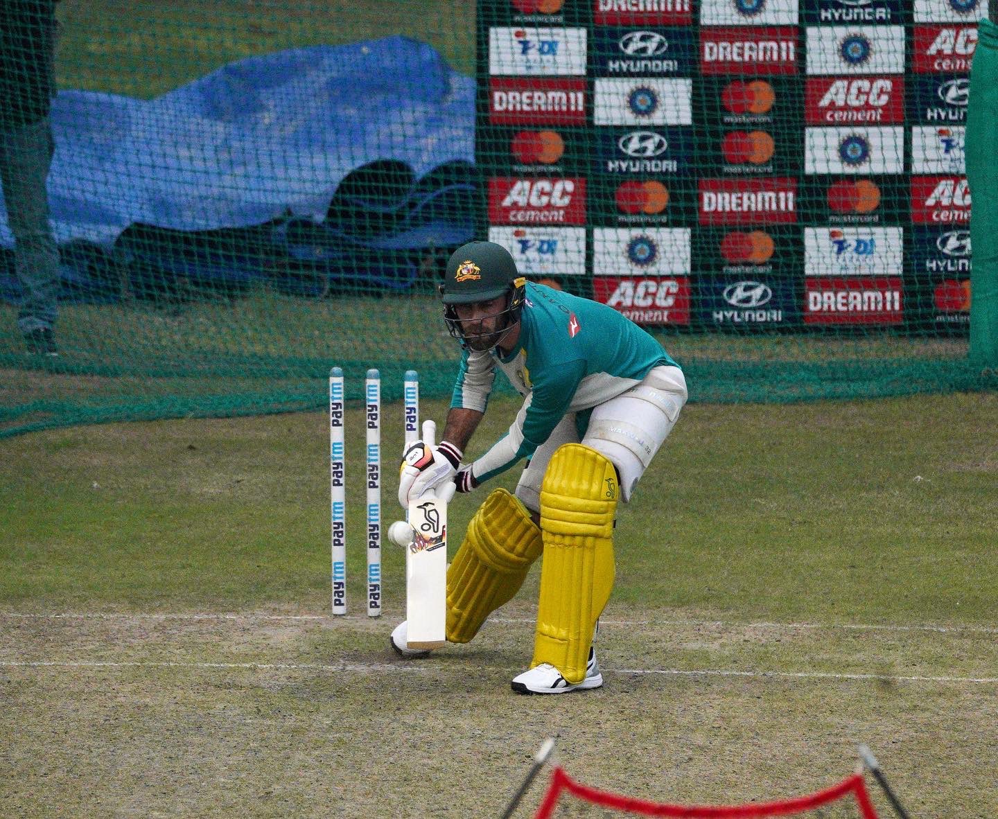 IND vs AUS LIVE: Glenn Maxwell, Aaron Finch spend extra session at practice, FOCUS on Tim David, Follow India vs Australia LIVE, Australia Practice Mohali