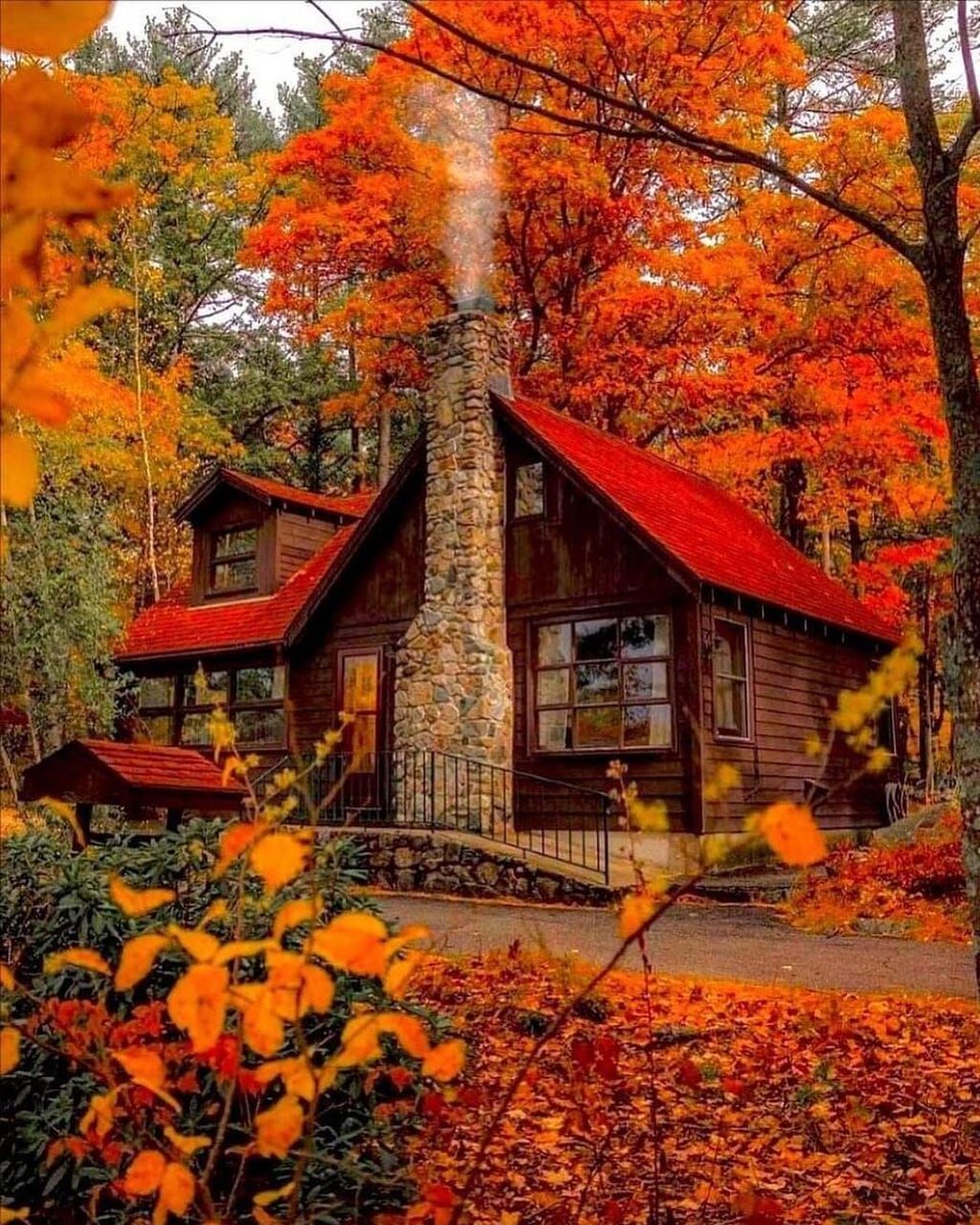 Would you live here? #WritingCommunity #readersoftwitter