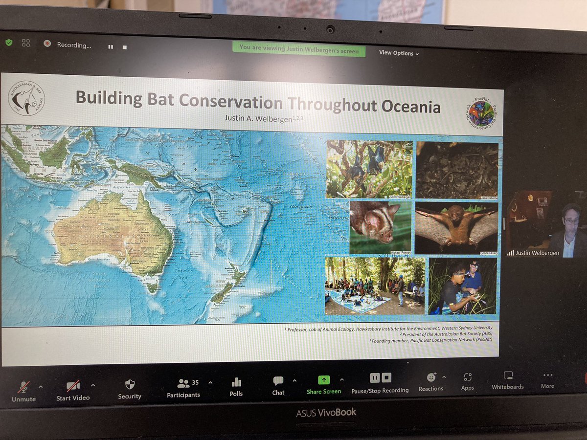 bats_w_borders's tweet image. Talk 1 - Prof @JustinWelbergen kicks off our 8 talks, talking about the @AusBats and #PacBat - Pacific Bat Conservation Network 🦇 #communityengagement #communityinvolvememt #batblitz