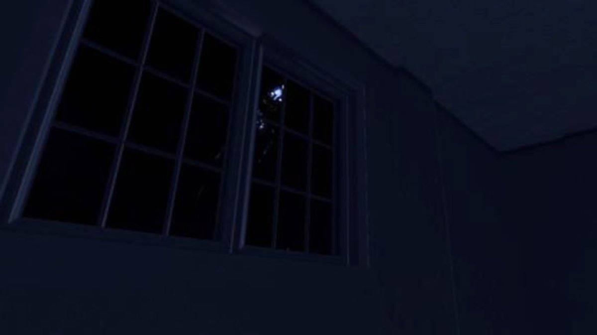 ExpoDev ᯅ tweet media