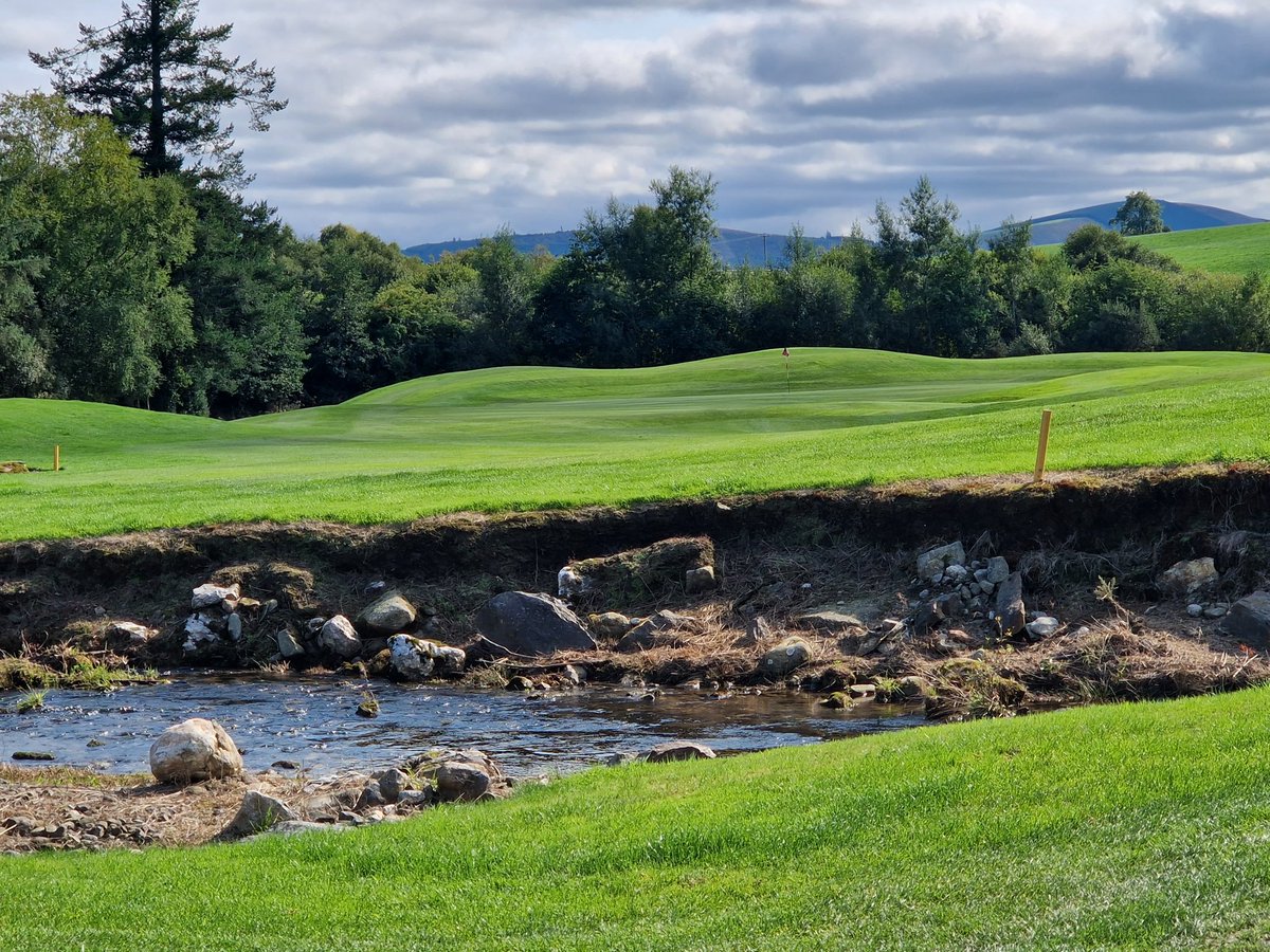 Declan Nolan tweet media