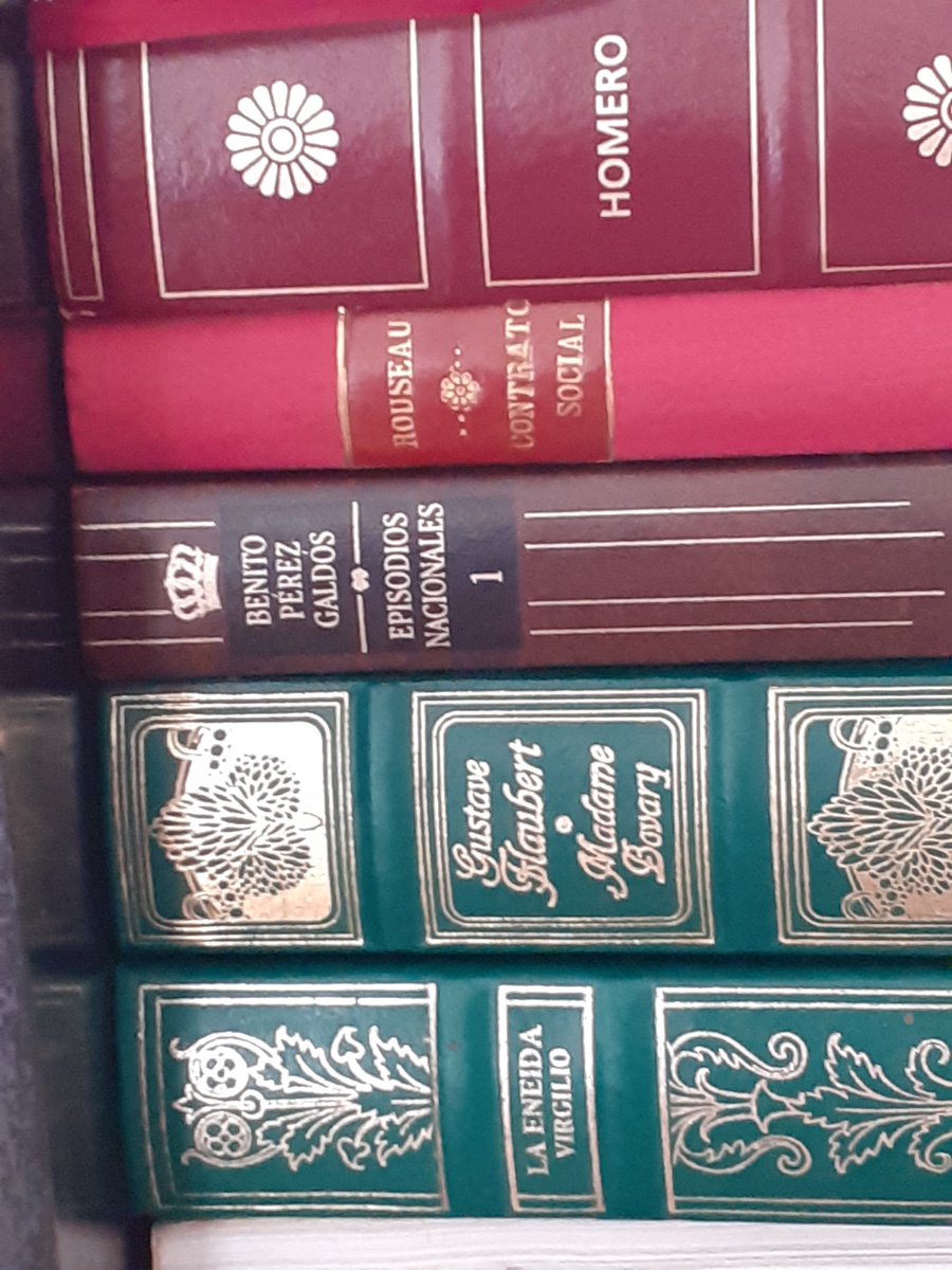 LusaGuerrero's tweet photo. Ayer hice cambios en mi casa, entre ellos mover las estanterías de libros y quitar el polvo de paso.  Decidí que tenía que regalar o tirar libros, me puse a hacer una selección, pero no encontré ni uno solo que mereciera ser desterrado de mi hogar.
#LusaG https://t.co/ULIrK9ufOC