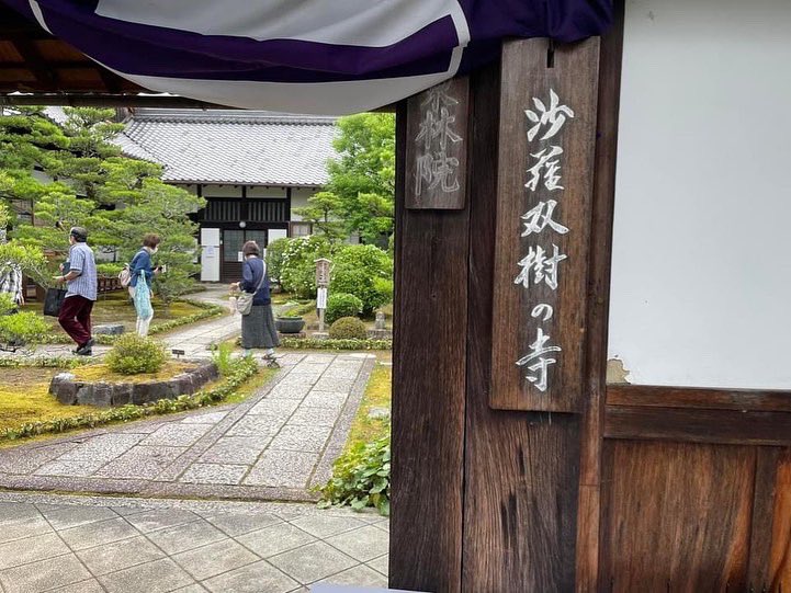 Abook34's tweet photo. 京都の東側に住んでたので
西側に全く地理感がない🫤

梅雨���けの時期の話だけど
西北部をウォーキングして
東林院の沙羅の花を観に♪

まぁ花より団子ですけど🤣

https://t.co/9bQFqHqu8G

#京都 #東林院 #沙羅の花 https://t.co/ZtnKto6HQ5