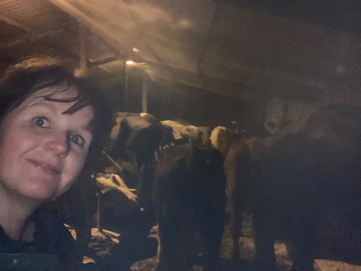 bernardsfarmuk's tweet photo. Late nights, early mornings ๐ฅฑ
#EatSleepFarmRepeat #Sheeping #Cows #Grafting https://t.co/5oeysOuiST