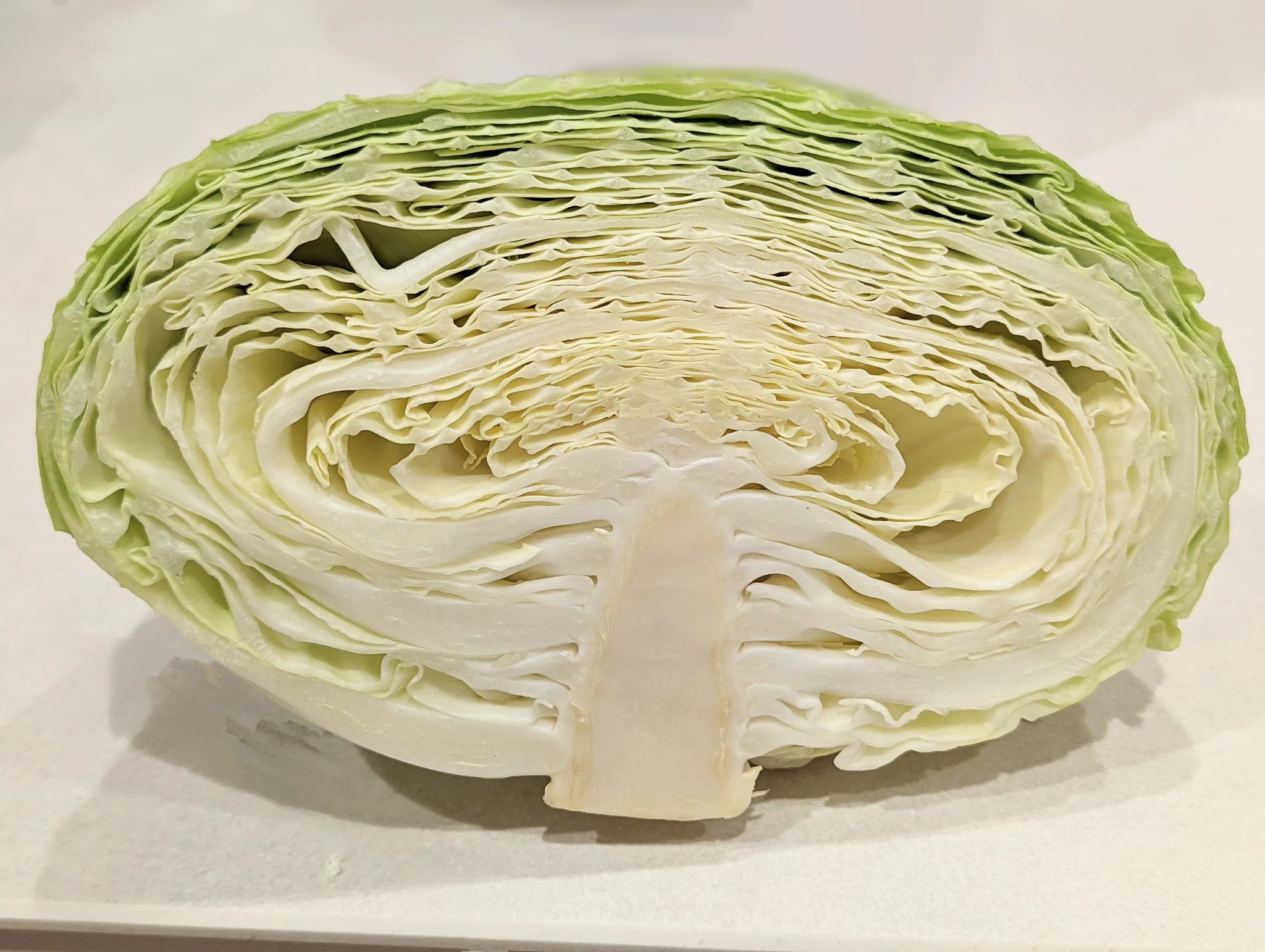 カットキャベツは… 芯が短いものを選んだ方が良いらしい!!