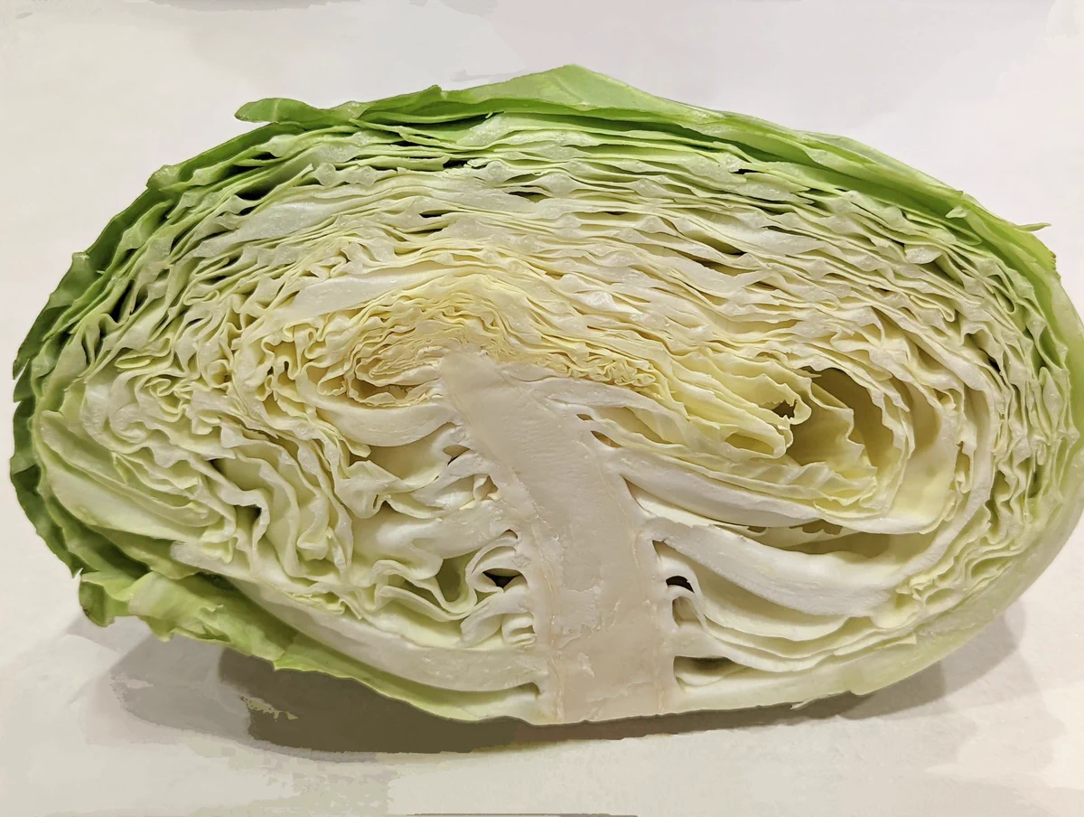 カットキャベツは… 芯が短いものを選んだ方が良いらしい!!