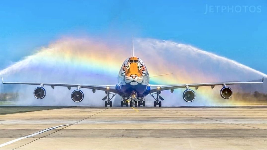 SaurabhJain4512's tweet photo. #Cheetahs landed at Gwalior!
Chartered Cargo plane carrying 8 Cheetahs given a #WaterSalute and a warm Welcome at #Gwalior #Airport. Kudos to @ntca_india https://t.co/HkWGw1EiRn