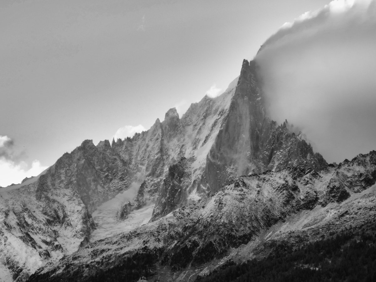 Al Powell tweet media