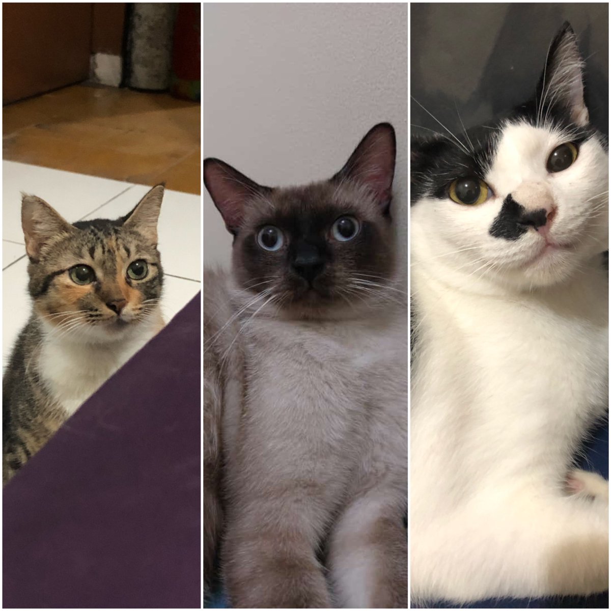 cemongkun's tweet image. yg cari duit                             yg ngabisin duit