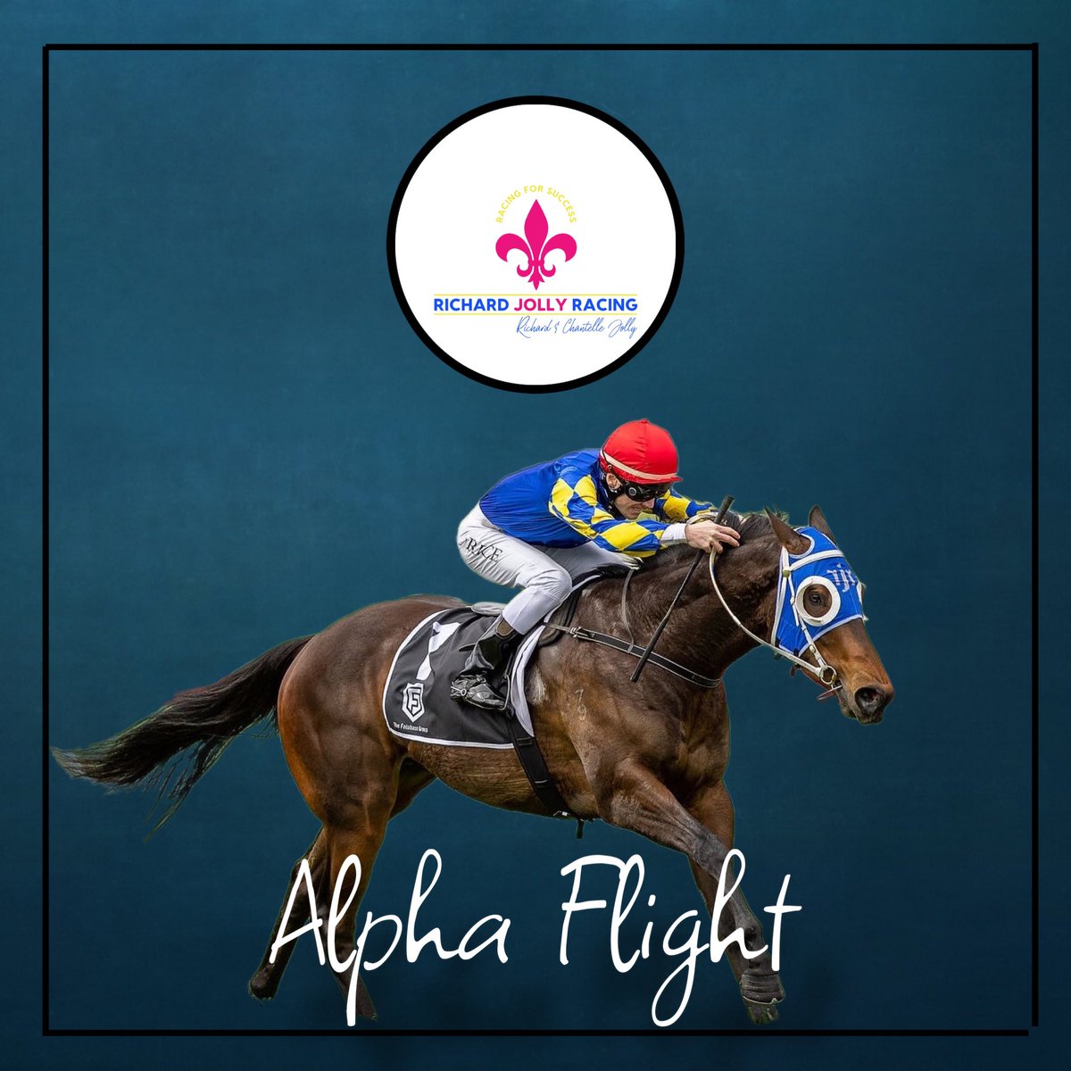 RJollyRacing's tweet photo. A $17,000 online purchase who now takes his earnings to over $180,000. ALPHA FLIGHT has been a handy purchase for all involved! https://t.co/AJg0d8MrPX