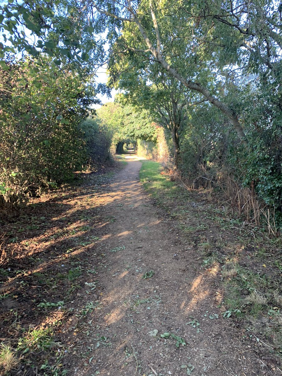 katiebutler06's tweet photo. Went off to fairyland 🥰 #saturday10k #restoringenergy #saturdaysun ☀️ https://t.co/66QBf3gTsz