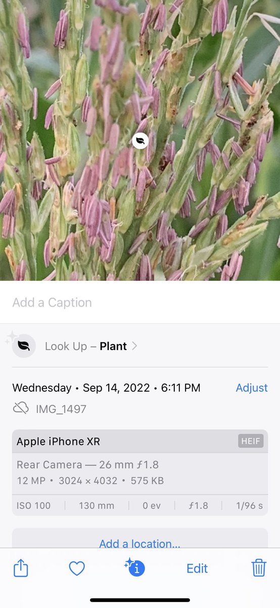 blubutterfly123's tweet photo. Wow.  What and update iOS 16. https://t.co/CZWTEGqSdj
