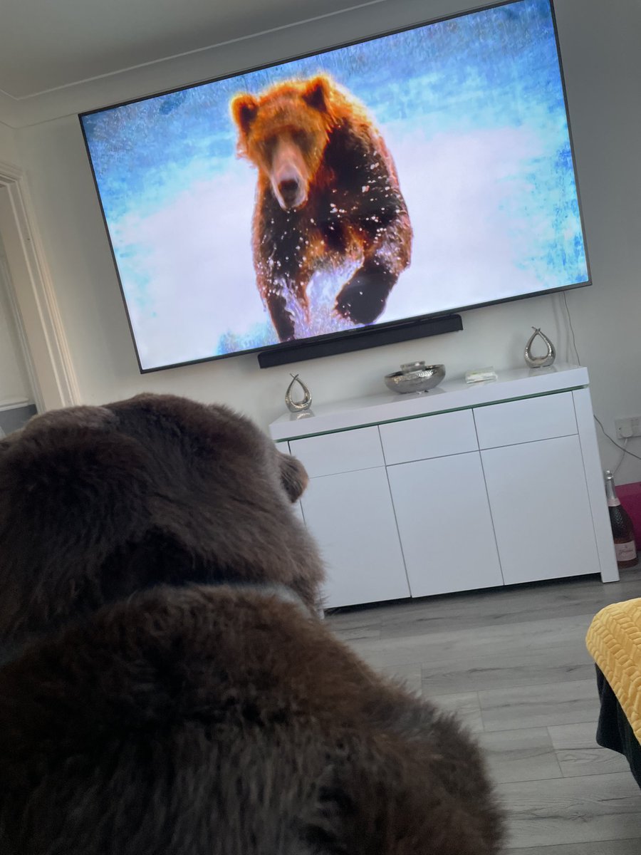 When Chester thinks he’s watching himself on tv 🤦🏻‍♀️