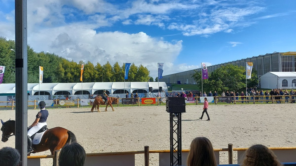 CristinaPumplun's tweet photo. Het vraagt veel meer voor een ruiter om ruiter te zijn dan voor een paard om rijpaard te zijn. #centeredriding #YlvieFros @HorseEvent https://t.co/KG7j4JJiQk