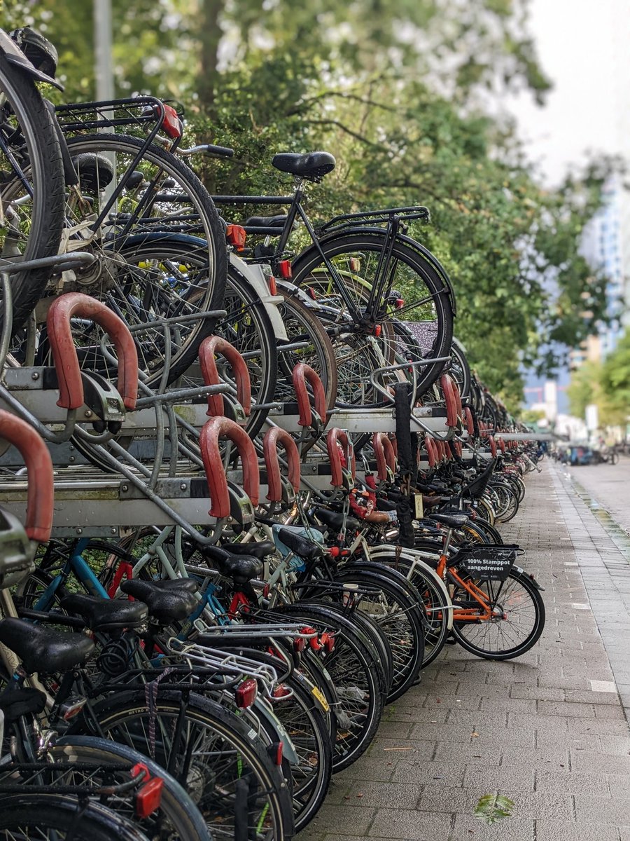 RoxPoNinja's tweet photo. From #iPres2022 back in time to #iPres2019 in Amsterdam (for me even further to 12-15 years ago, when I used to live here): I had forgotten how awe-inspiring bicycle racks next to train stations are in the Netherlands (for hundreds to thousands of bikes)  https://t.co/drM6LJwWE5 https://t.co/jpiJ23gyZh