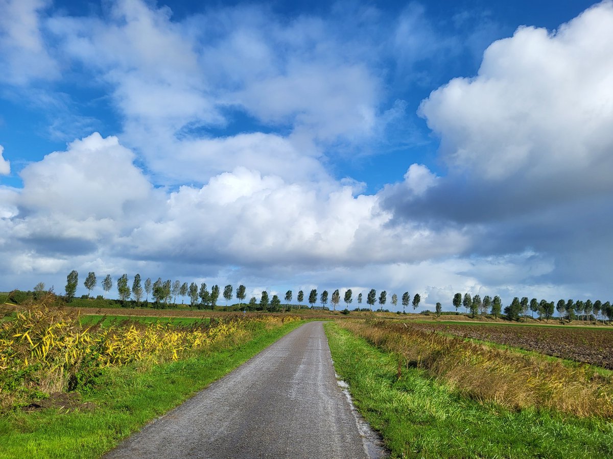 Prachtige herfstlucht vandaag ❤️#teamherfst