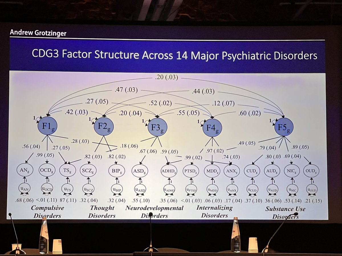 Great talk by @Andrew_Grotz on the new genomic SEM work clustering 14 psychiatric disorders in to 5 factors. #WCPG2022