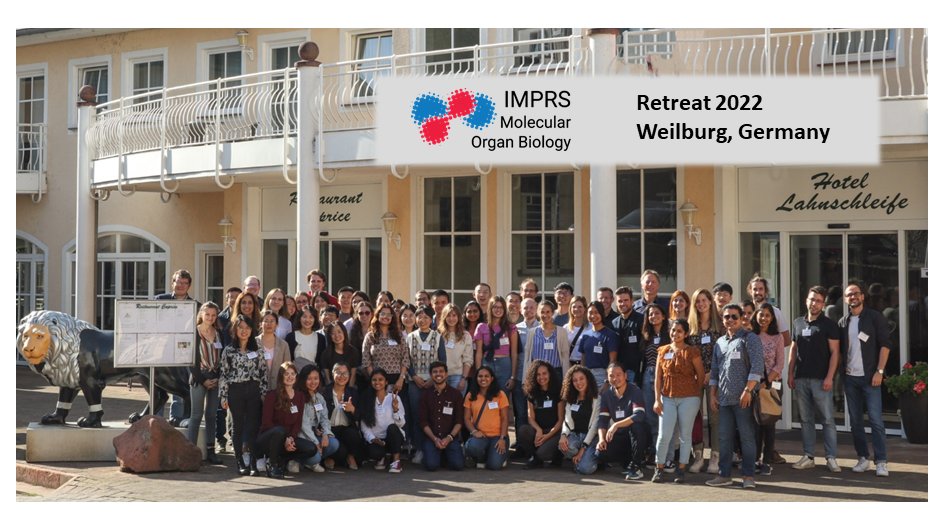 IMPRS for Molecular Organ Biology (@imprs_mob) on Twitter photo Day3: fantastic talk by Samie Jaffrey on #RNAmodifications. A huge ‘thank you’ to all PhDs, speakers and IMPRS alumni who joined this year’s IMPRS retreat. 🙌Big shout out to the PhD committee <a href="/mpi_hlr/">Max Planck Institute for Heart and Lung Research</a> for chairing and organizing it! #phdlife #science Day3: fantastic talk by Samie Jaffrey on #RNAmodifications. A huge ‘thank you’ to all PhDs, speakers and IMPRS alumni who joined this year’s IMPRS retreat. 🙌Big shout out to the PhD committee <a href="/mpi_hlr/">Max Planck Institute for Heart and Lung Research</a> for chairing and organizing it! #phdlife #science