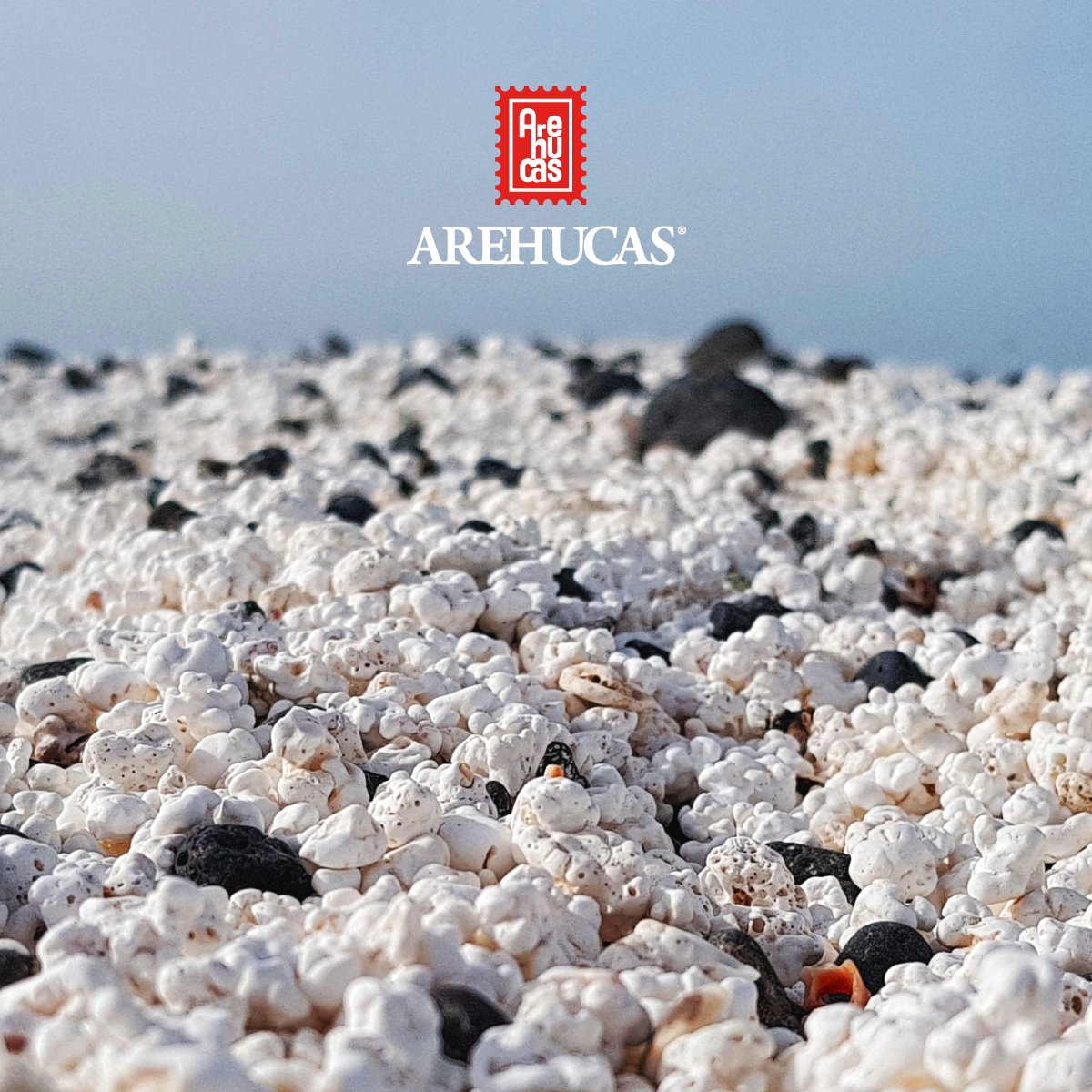 arehucas_ron's tweet photo. Las playas no necesitan que quitemos o añadamos ingredientes en su receta. Disfrutemos de ellas y tratemos que perduren para siempre. ¿Adivinas qué playa es? 🌊
#Playa #PopCornBeach #Fuerteventura #ElLadoCanarioDeLaVida #Canarias #IslasCanarias https://t.co/vMoDs9bO4S