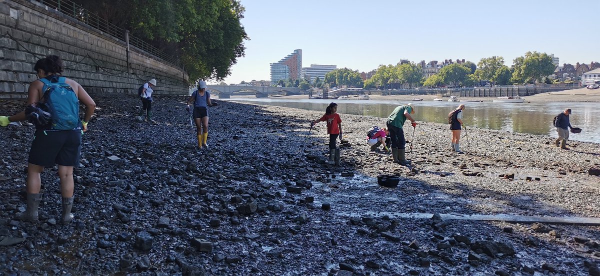 Today on #worldcleanupday join us at 12pm at Bishops Park, Fulham to take part in the Plasticblitz. We will collect and sort all the litter from the River Thames foreshore.

#littersurvey #plasticpollution @Thames21 @InNo_Plastic