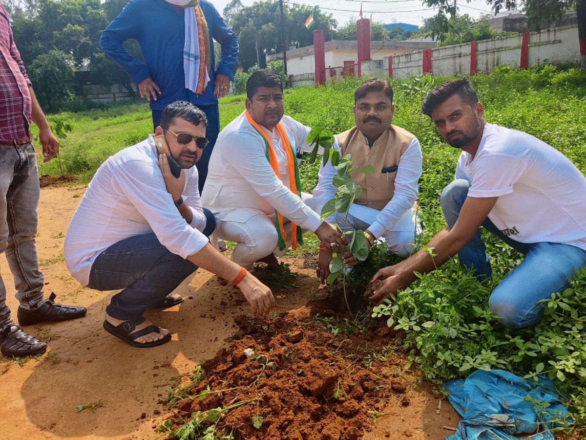 ShiveshBJPMP's tweet photo. सिंगरौली जिले में देश के यशस्वी प्रधान मंत्री नरेंद्र मोदी जी के जन्मदिवस पर युवा मोर्चा के द्वारा वृहद वृक्षा रोपण किया ��या #हरा_भरा_मध्यप्रदेश 
@narendramodi
@vdsharmabjp @HitanandSharma @PMuralidharRao @Tejasvi_Surya @vaibhavpawarmp @yadavharish22 https://t.co/8VhUJa4Hju