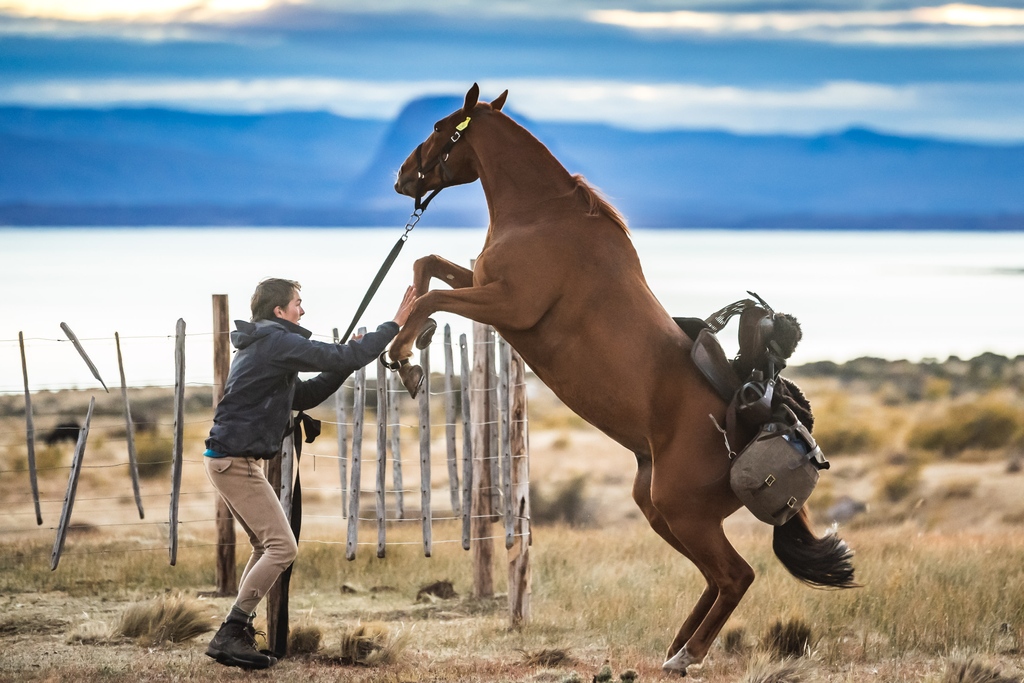 gauchoderby's tweet image. I guess we aren't the only ones who aren't into early mornings....

Eh Kade Brassington??

#GauchoDerby

Photo by: @sarahfarnsworthfieldsports