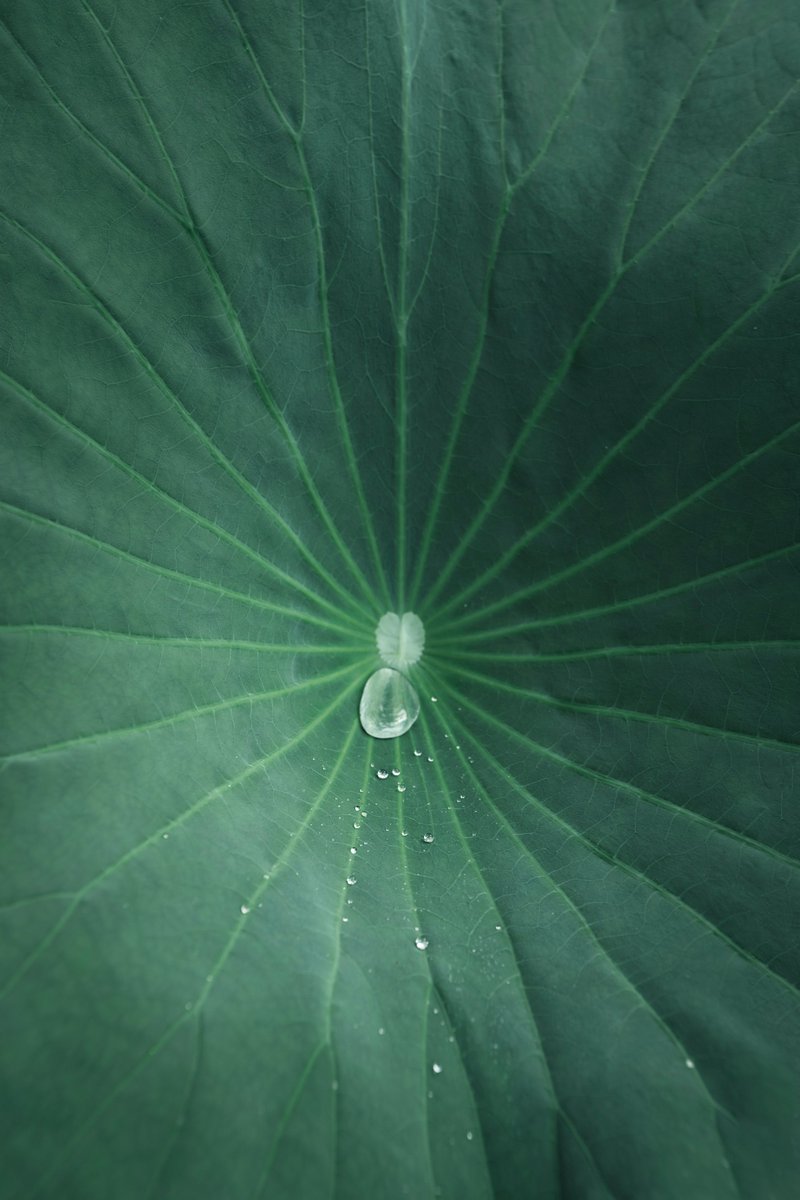 #PKUCampus is full of surprises, as well as hidden beauty. 
📸Photos: Cai Xiangyu, Zhu Chengxuan