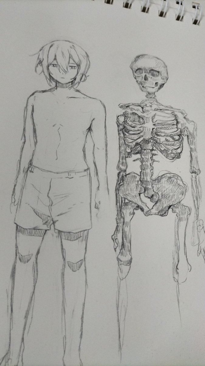 ailurei's tweet photo. I know nothing about skeletons but they don't know that https://t.co/8kKjBpsCzO