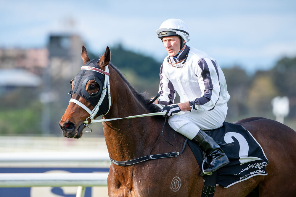 PerthRacing's tweet photo. Comes A Time (Paul Harvey) won R8 Nicopolis Stakes at Belmont Park Racecourse Saturday 17 September 📸@WesternRacepix https://t.co/h1XrkInWtF