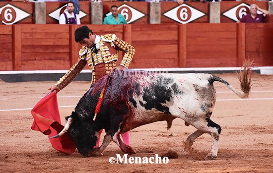 objetivoeltoro's tweet photo. #LopezChaves se encontrรณ con el #Galache soรฑado. Chillรณn-23 fue todo un derroche de bravura, clase, humillaciรณn y largura que se encontrรณ con la raza, el gusto y el poso de un torero en sazรณn. 2 Orejas!
El quintรณ apuntรณ cosas muy buenas, pero una lesiรณn le impidiรณ romper https://t.co/iryHvuBWzT