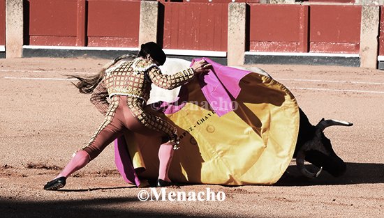objetivoeltoro's tweet photo. #LopezChaves se encontrรณ con el #Galache soรฑado. Chillรณn-23 fue todo un derroche de bravura, clase, humillaciรณn y largura que se encontrรณ con la raza, el gusto y el poso de un torero en sazรณn. 2 Orejas!
El quintรณ apuntรณ cosas muy buenas, pero una lesiรณn le impidiรณ romper https://t.co/iryHvuBWzT