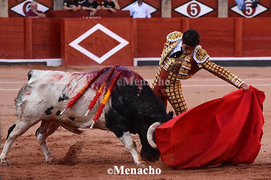 objetivoeltoro's tweet photo. #LopezChaves se encontrรณ con el #Galache soรฑado. Chillรณn-23 fue todo un derroche de bravura, clase, humillaciรณn y largura que se encontrรณ con la raza, el gusto y el poso de un torero en sazรณn. 2 Orejas!
El quintรณ apuntรณ cosas muy buenas, pero una lesiรณn le impidiรณ romper https://t.co/iryHvuBWzT