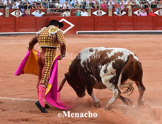 objetivoeltoro's tweet photo. #LopezChaves se encontrรณ con el #Galache soรฑado. Chillรณn-23 fue todo un derroche de bravura, clase, humillaciรณn y largura que se encontrรณ con la raza, el gusto y el poso de un torero en sazรณn. 2 Orejas!
El quintรณ apuntรณ cosas muy buenas, pero una lesiรณn le impidiรณ romper https://t.co/iryHvuBWzT