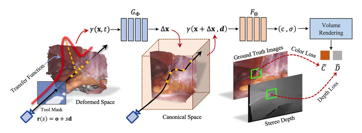 QiDou_'s tweet photo. Reconstructing dynamic surgical environment is important for cognitive assistance and automation in robotic surgery. @yuehaowang will present our #MICCAI2022 work on NeRF for stereo 3D reconstruction of deformable tissues! (Oral Session #3, 19 Sep PM) https://t.co/3EzQ7bN5TP