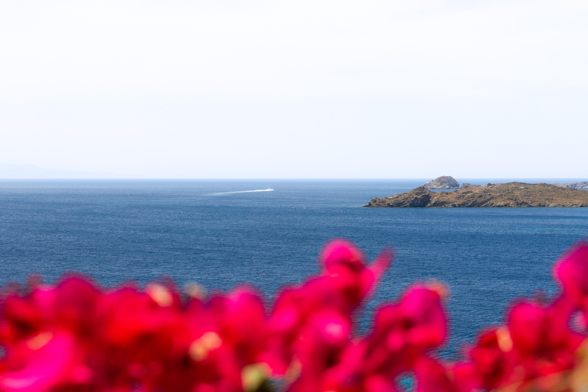 POV: blossomed bougainvillea from your private terrace

#santamarinamykonos
#theluxurycollection
#marriottbonvoy 
#buddhabarbeachmykonos #mykonos #greece #marriott