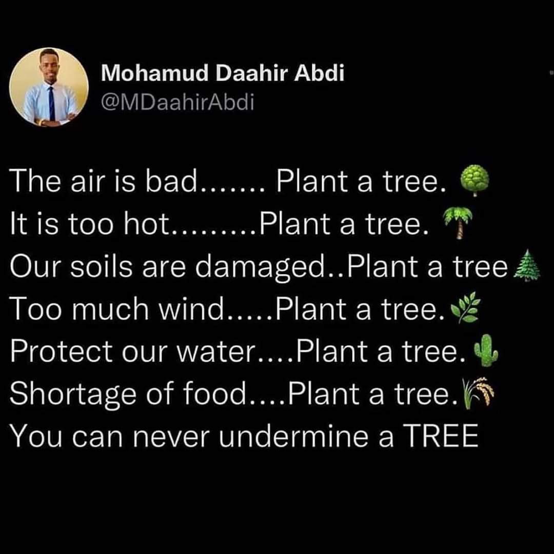 DSmit1968's tweet photo. @033rainproof @NLgreenlabel https://t.co/R5uCGlMF55