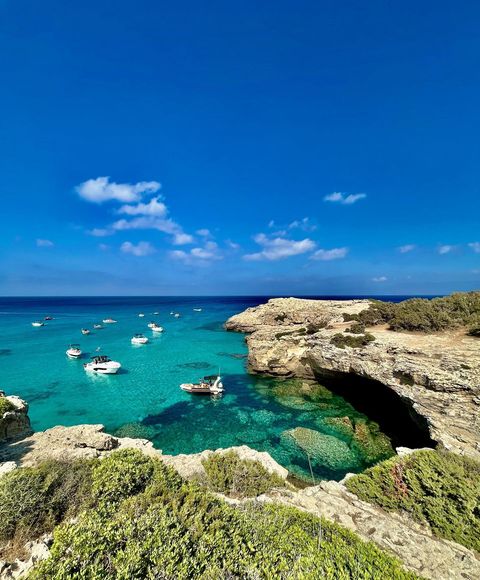 visitcyprus's tweet photo. What September looks like in Cyprus – talk about picture-perfect 🤩 So now we’ve found our perfect spot, what’s yours? Let us know in the comments below 👇
📷@e.p.m.e.s
#VisitCyprus #LoveCyprus #ManolisBay #Akamas #VisitPafos #PafosRegion https://t.co/uskuvYhF6G