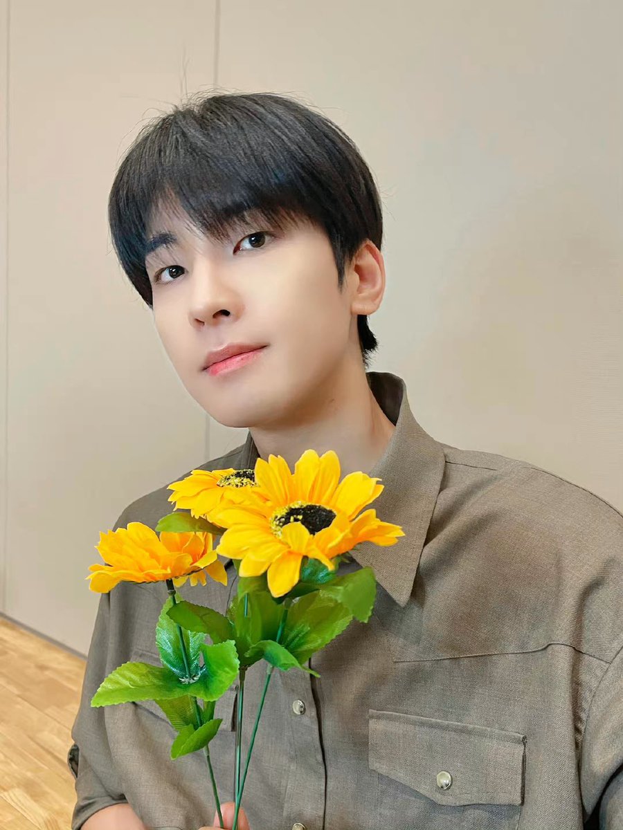 meownwoof's tweet photo. sunflowers 🌻 https://t.co/AaQIbPcj6D