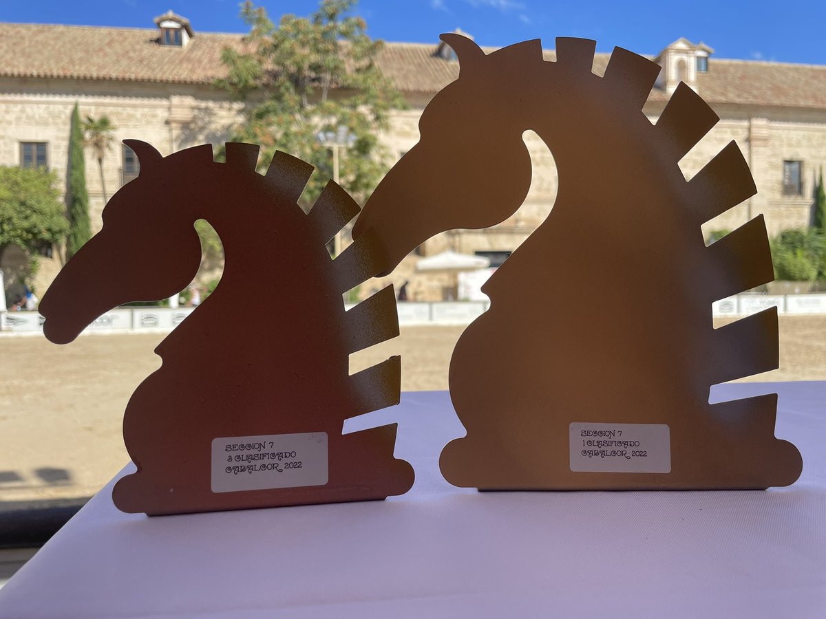 J_FlorianoC's tweet photo. @PREmium_Horses #cabalcor ciudad de Cordoba. #Campeones https://t.co/ssJSNxVTPz