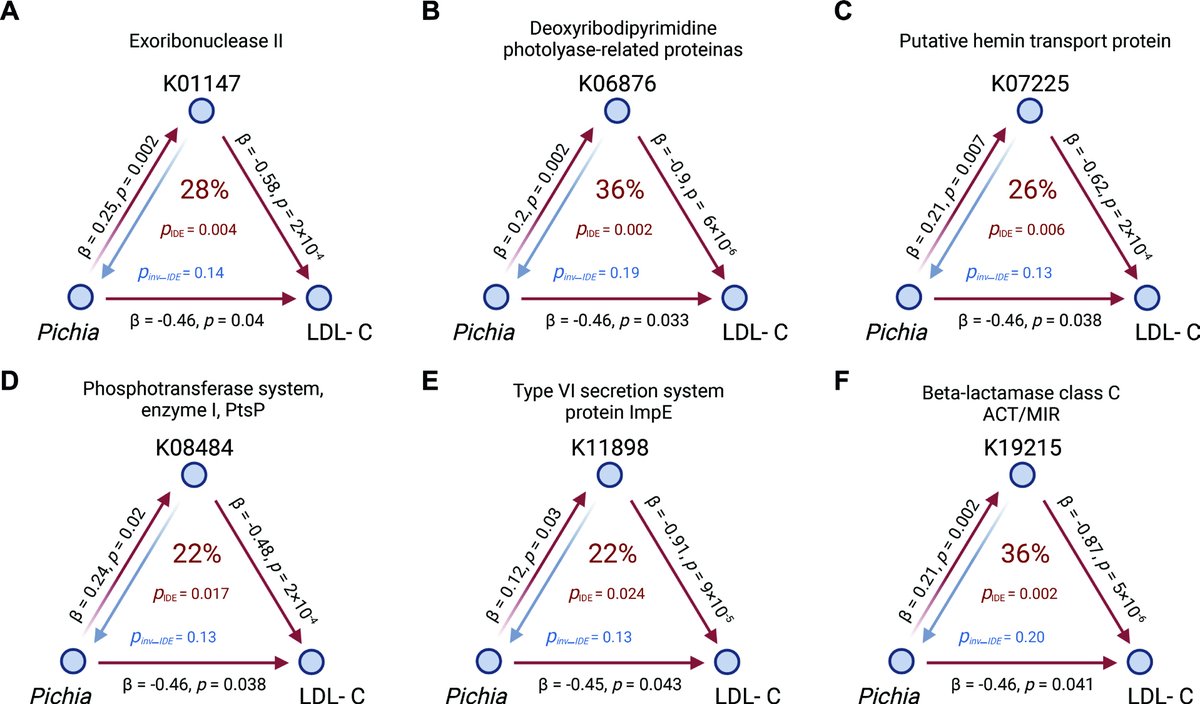 Gut_BMJ's tweet photo. #GUTImage from the paper

"Mapping the human gut mycobiome in middle-aged and elderly adults: multiomics insights and implications for host metabolic health" via

https://t.co/AHHYpYeQhV

@TienHuynhAU, @zheng_jusheng #Mycobiome #GITwitter https://t.co/AlK0Ad4vNu