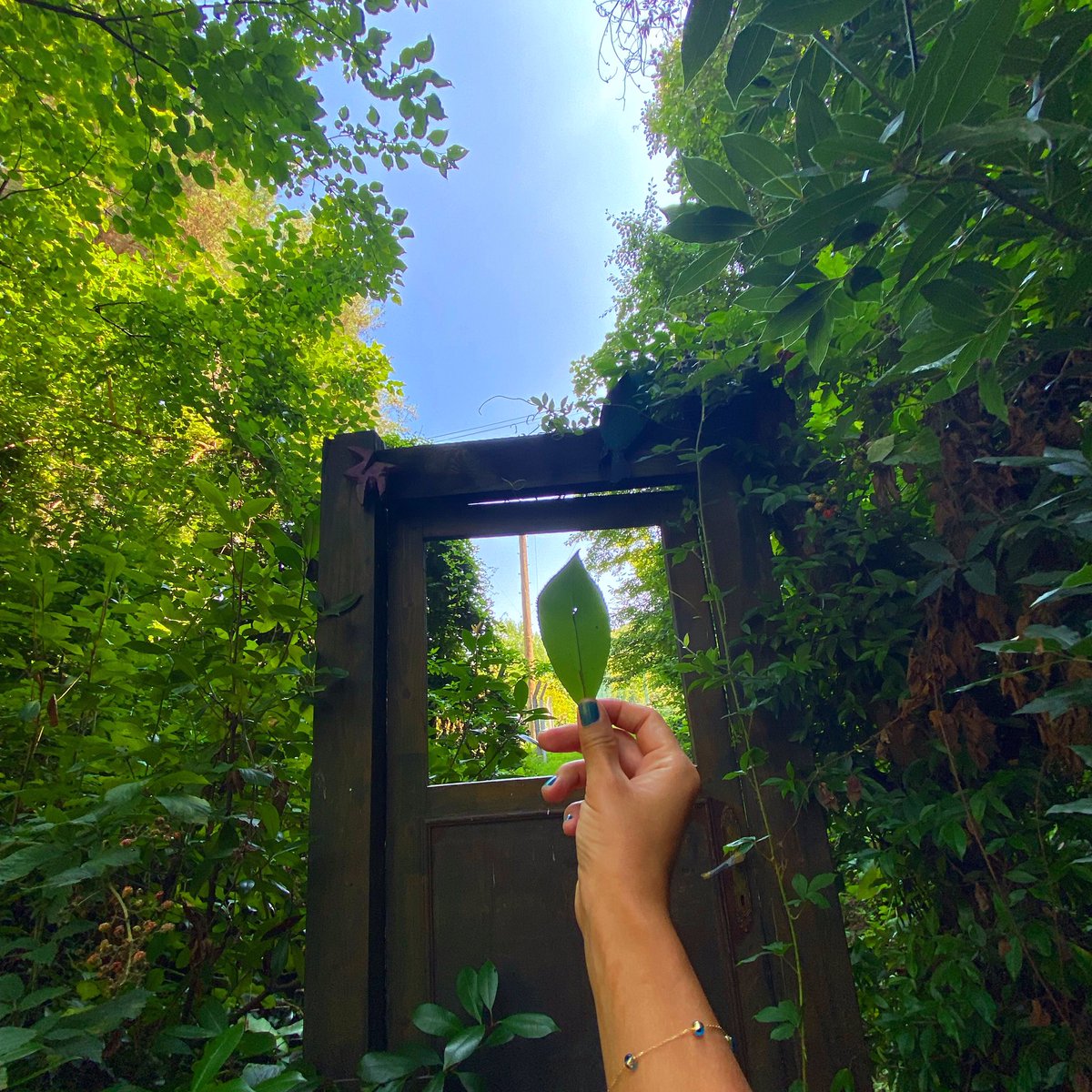 Kimi zaman kalbimizden hayata açılan pencerede ufukta kalakalır gözlerimiz masmavi bir göğün altında...
<a href="/kalbinfisiltisi/">whisperofwordsandnature🍀</a> 
whisperofwordsandnature 
🍀📚📝📸👣 

#doğa #nature #NaturePhotography #earth #sky #ngsapanca